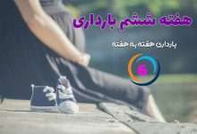 1730618572 هفته ششم بارداری تپیدن قلب جنین با ریتم ثابت